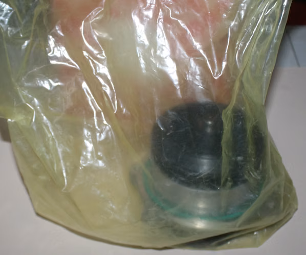 Bomba De Agua Camión DAF Febi Bilstein 31737 Alemana Nueva