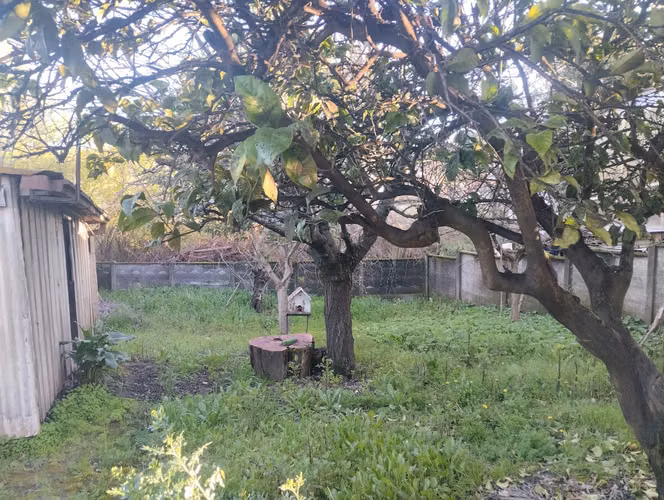 Vendo casa habitación Yumbel 4D ,2B