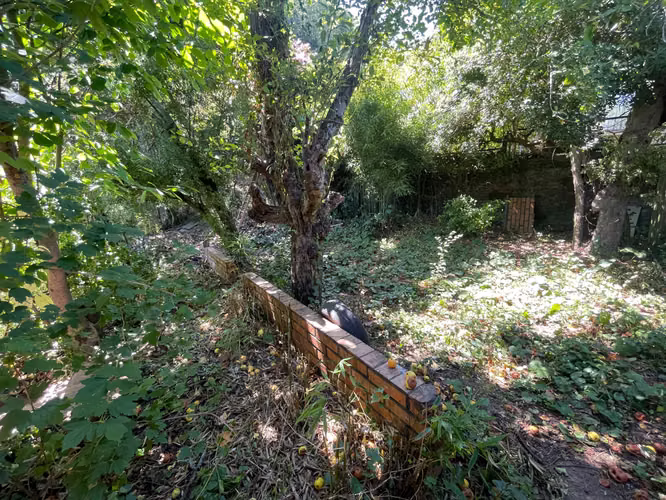 VENDO SITIO EN LONCO (181291) - Imagen 16