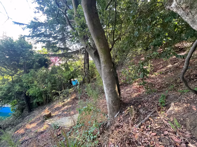 VENDO SITIO EN LONCO (181291) - Imagen 10
