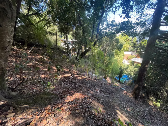 VENDO SITIO EN LONCO (181291) - Imagen 9