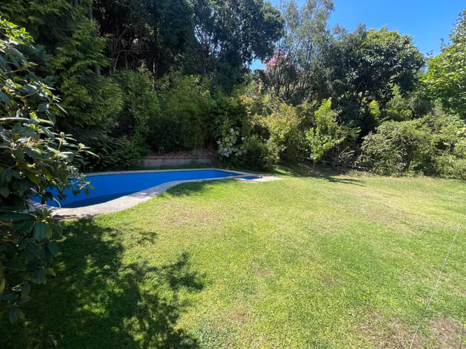 VENDO SITIO EN LONCO (181291) - Imagen 4