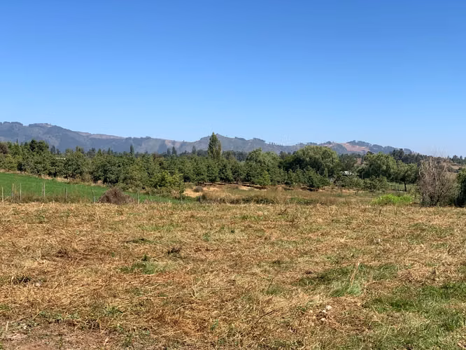 Parcela de 7300 m², Sector Los montes, Vilches, San Clemente - Imagen 3