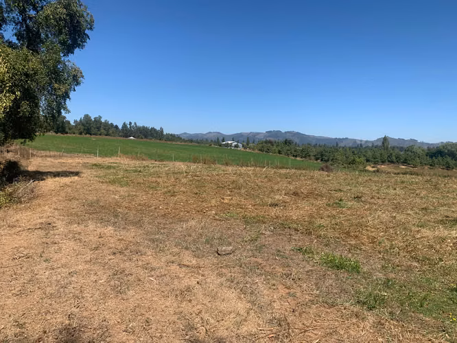 Parcela de 7300 m², Sector Los montes, Vilches, San Clemente - Imagen 4
