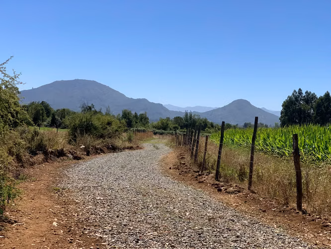 Parcela de 7300 m², Sector Los montes, Vilches, San Clemente - Imagen 6