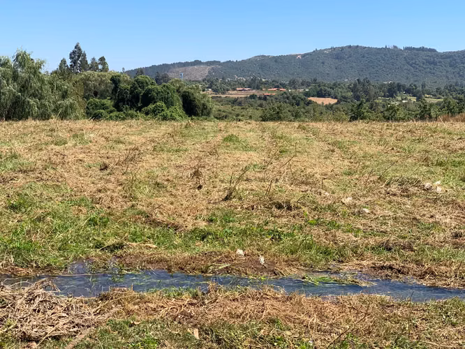 Parcela de 7300 m², Sector Los montes, Vilches, San Clemente - Imagen 5