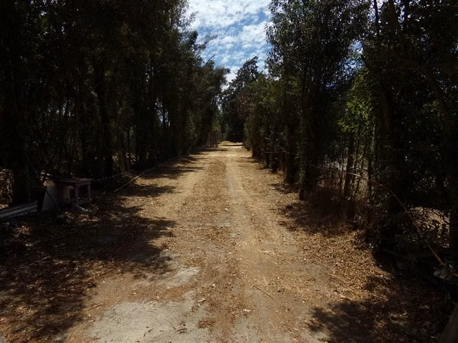 Casa en venta de 3 dorm. en Isla de Maipo - Imagen 28