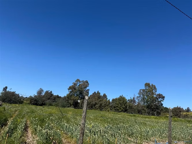 Parcela en venta ,Loteo Alto de San Miguel - Imagen 6