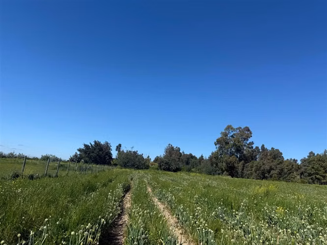 Parcela en venta ,Loteo Alto de San Miguel - Imagen 8