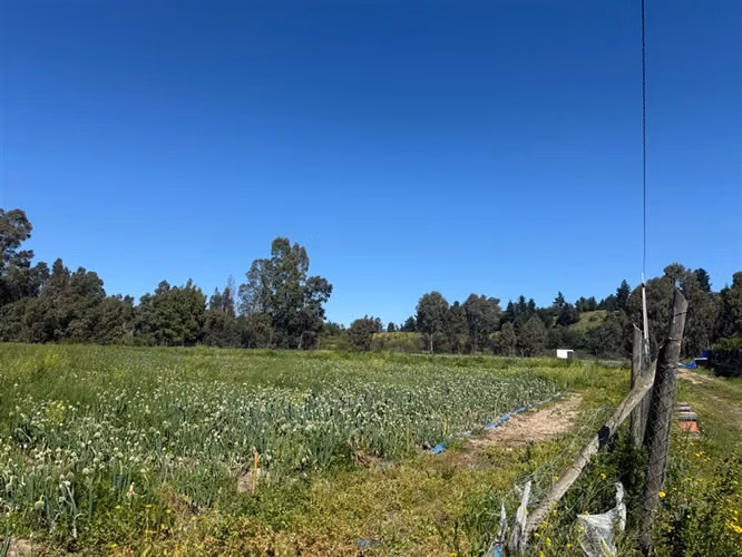 Parcela en venta ,Loteo Alto de San Miguel - Imagen 13