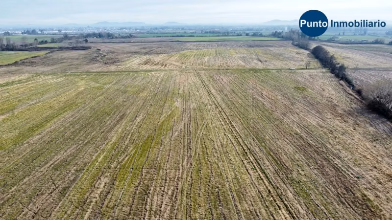 Campo Agrícola en Chillán