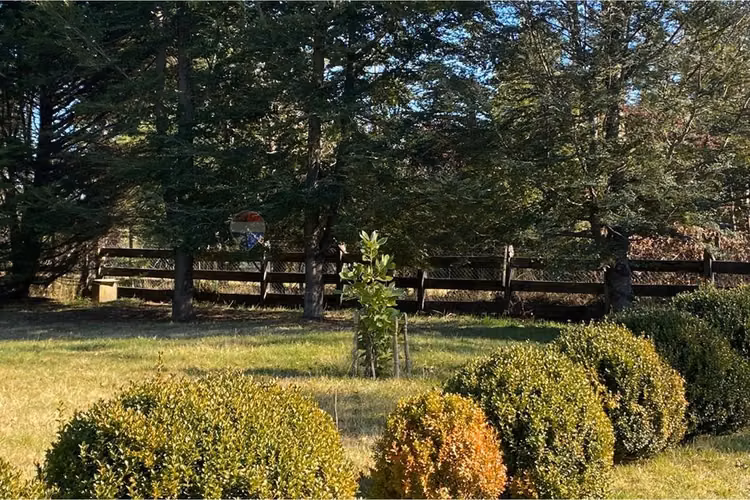 Casa impecable de 4d + 4b entre villarrica y pucón - Imagen 19