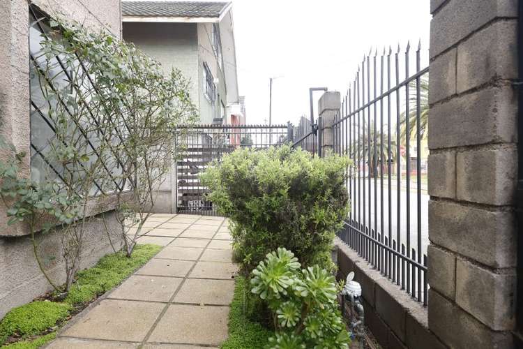 Casa MAR DEL NORTE / LOS TULIPANES, - Imagen 3