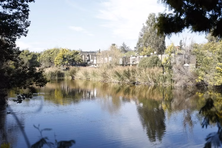Departamento ALGARROBO