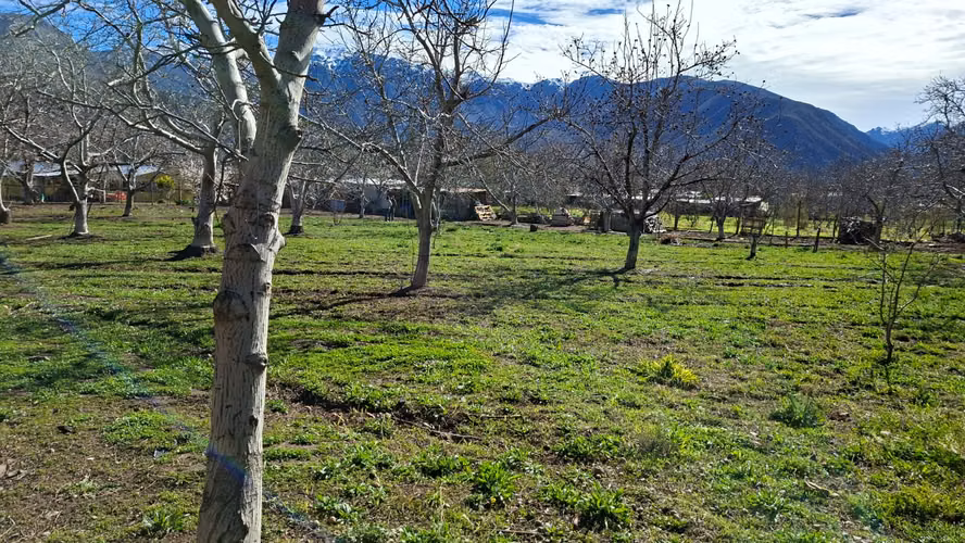 Amplia propiedad con piscina y gran terreno en Putaendo