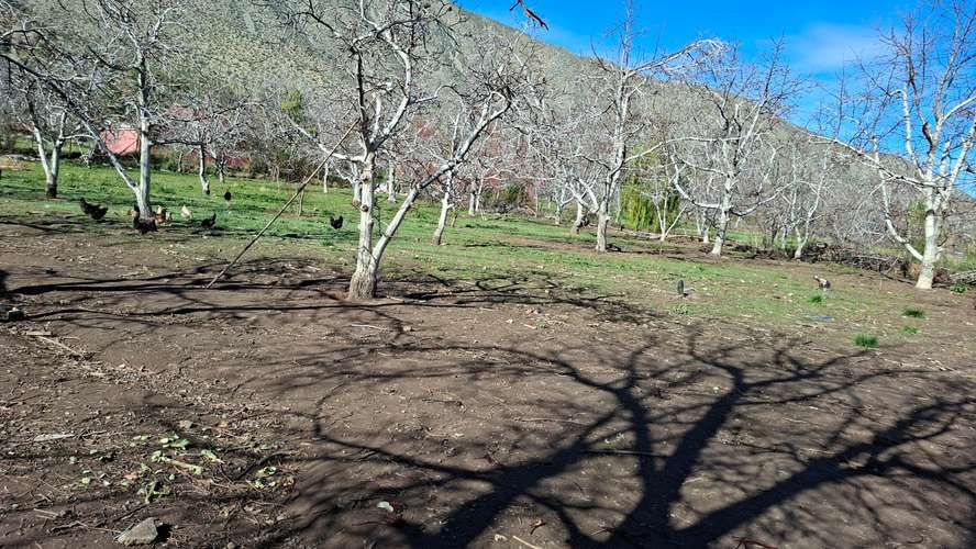 Putaendo – Parcela 4.124 m² Nogales – Sector Hidalgo