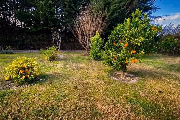 Venta de parcela de agrado en talagante - Imagen 5