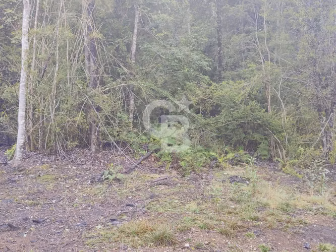 Oportunidad - rebajada. Refugio en Puerto Montt. - Imagen 6