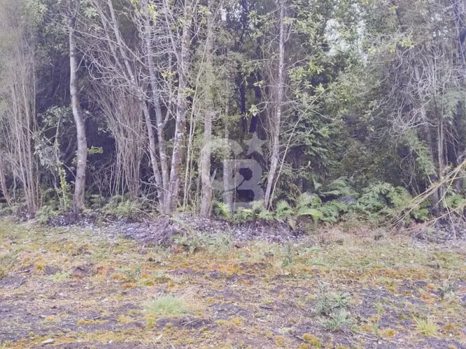 Oportunidad - rebajada. Refugio en Puerto Montt. - Imagen 5