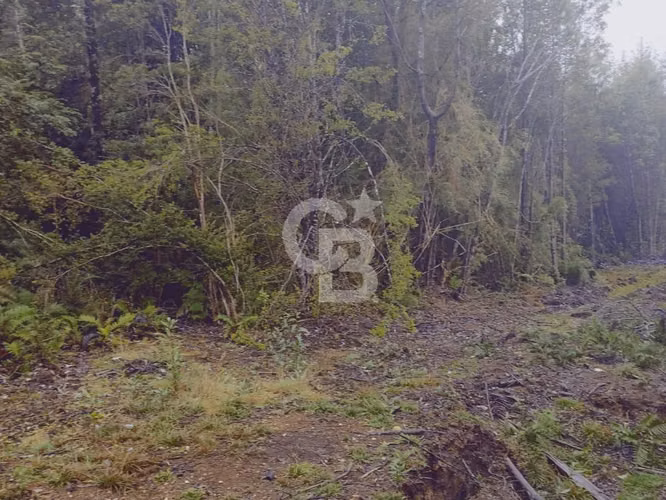 Oportunidad - rebajada. Refugio en Puerto Montt. - Imagen 4
