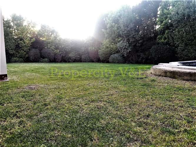 Precio rebajado!! (181413) - Imagen 17