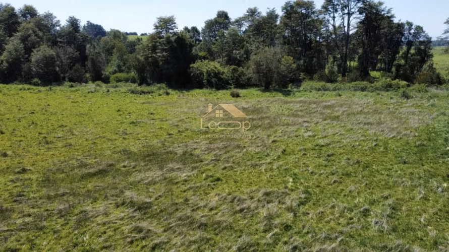 Exclusiva parcela 5000m2 - Imagen 4
