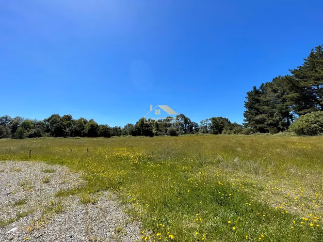 Exclusiva parcela 5000m2 - Imagen 7