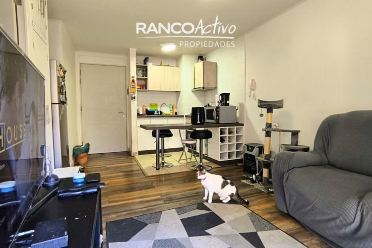 Departamento en Las Ánimas, Valdivia - Imagen 6