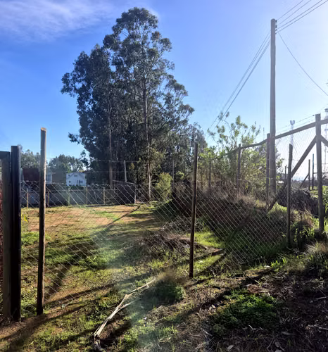 Algarrobo, sitio en Condominio Los Bronces