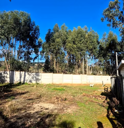 Algarrobo, sitio en Condominio Los Bronces