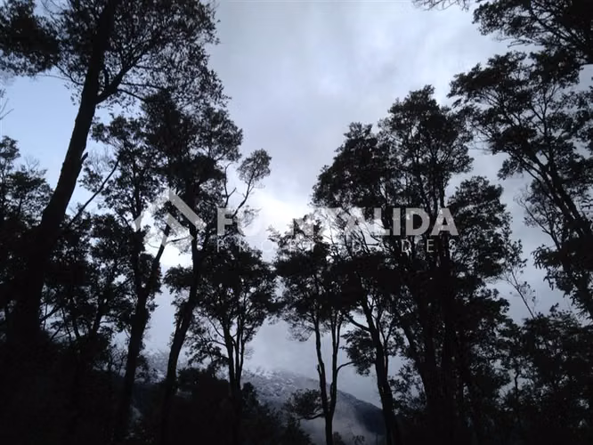 Venta Parcelas en Carretera Austral Zona El Amarillo CHAITEN