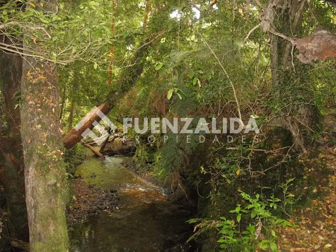 Venta Parcelas en Carretera Austral Zona El Amarillo CHAITEN