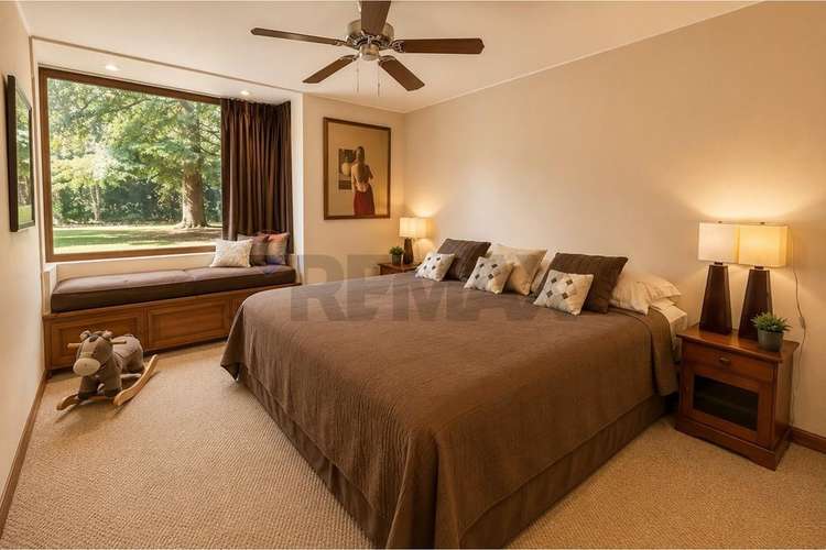 Venta casa san demian - Imagen 16