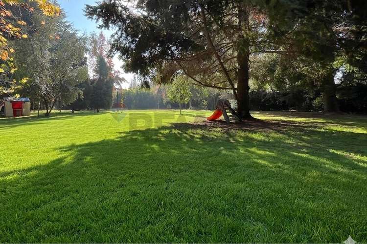 Venta casa san demian - Imagen 22