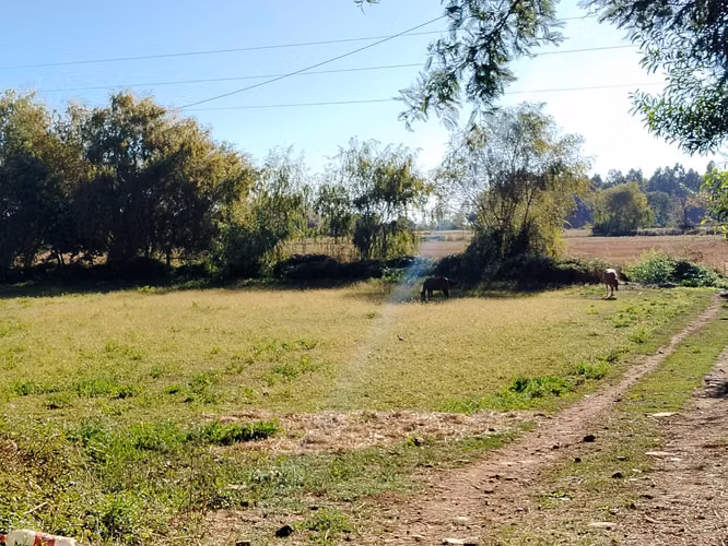 CAMPO AGRICOLA, PROPIEDAD DE 39,7 HA CON AGUA EN COLBÚN - Imagen 13