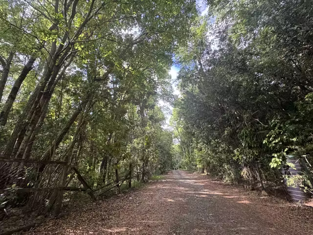 VENTA TERRENO EN PINTO SECTOR RECINTO - Imagen 2