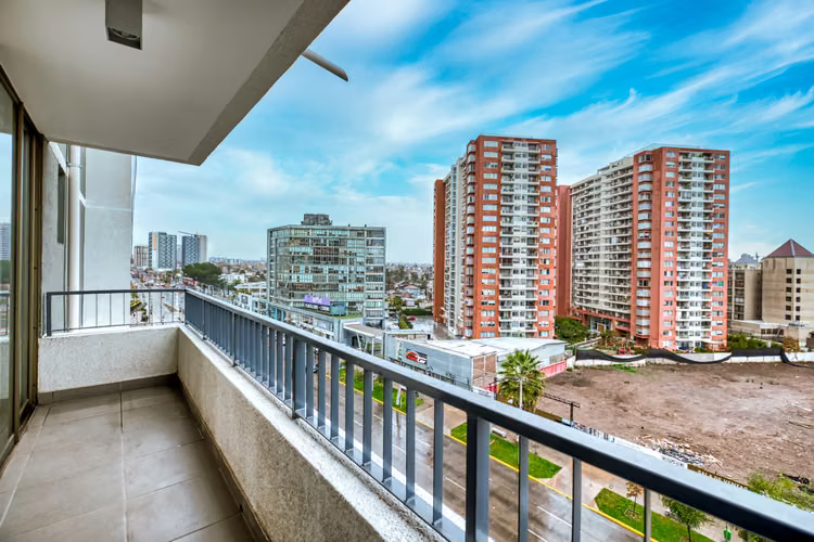 Vicuña Urban [1322-1] - Imagen 8