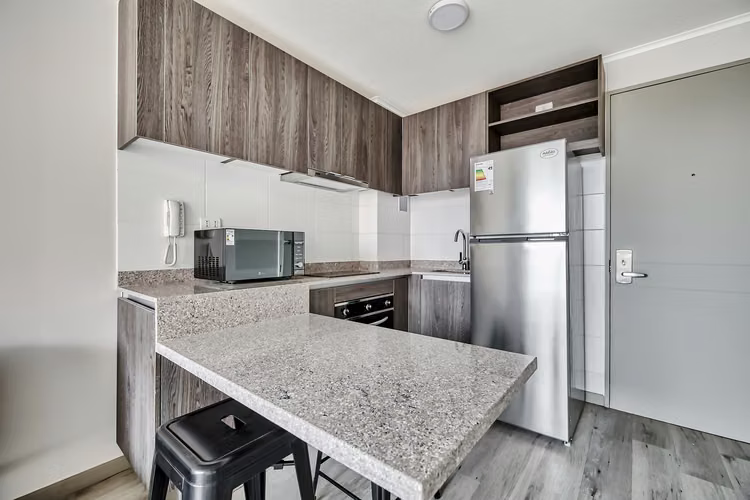 Vicuña Urban [1322-1] - Imagen 3