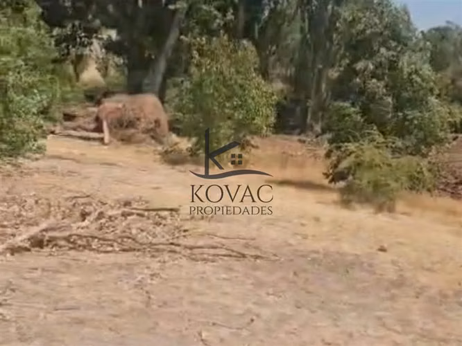 Parcela en venta en Las Cabras - Imagen 3