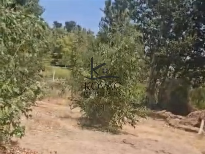 Parcela en venta en Las Cabras - Imagen 14