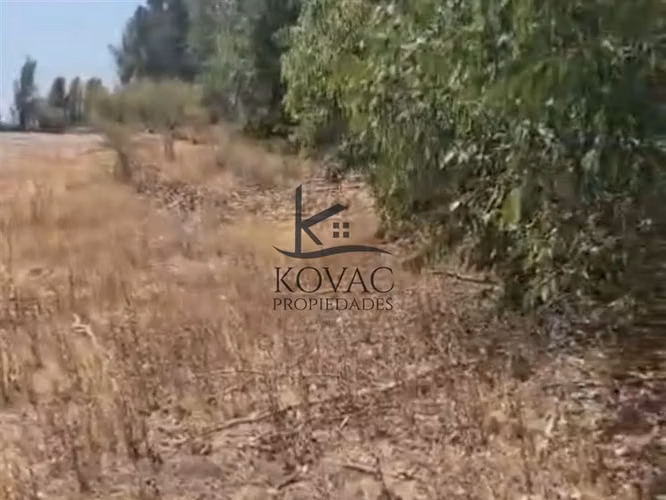 Parcela en venta en Las Cabras - Imagen 5