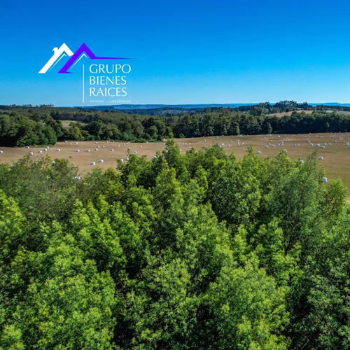 parcelas sur de Chile (181560)