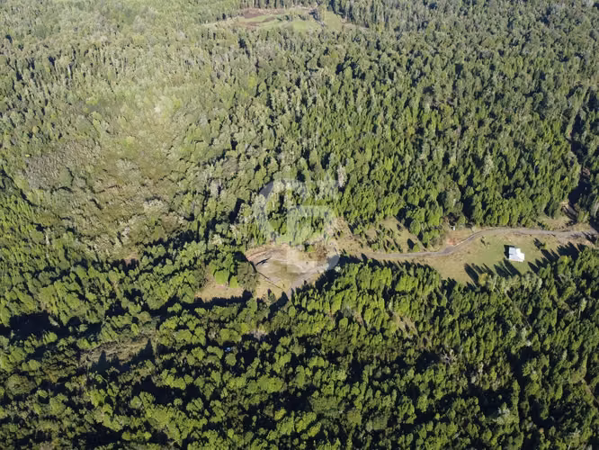 Campo en Chiloé: Naturaleza, Plusvalía y Acceso