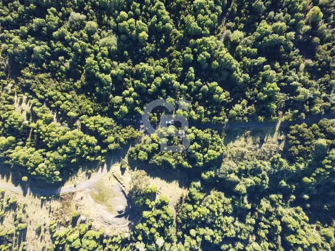 Campo en Chiloé: Naturaleza, Plusvalía y Acceso