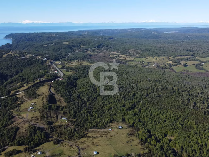 Campo en Chiloé: Naturaleza, Plusvalía y Acceso