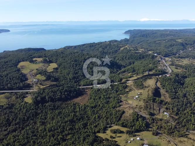 Campo en Chiloé: Naturaleza, Plusvalía y Acceso