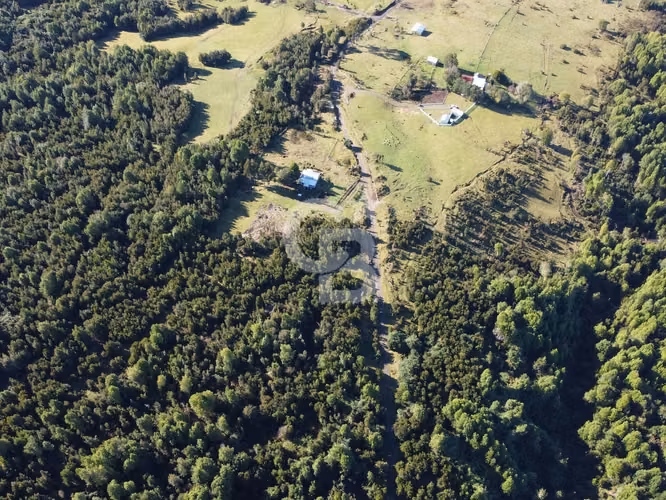 Campo en Chiloé: Naturaleza, Plusvalía y Acceso