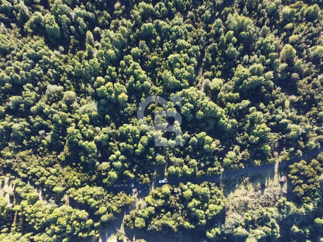 Naturaleza, Plusvalía y Acceso. Proyecto comercial. - Imagen 12