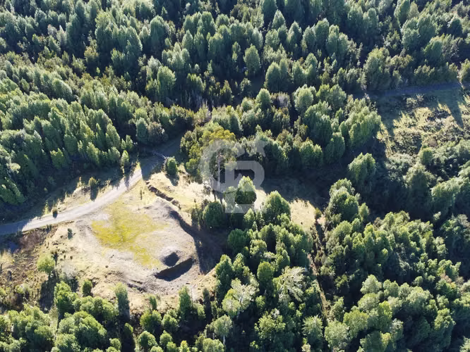 Campo en Chiloé: Naturaleza, Plusvalía y Acceso