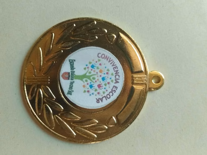 Trofeos medallas etc - Imagen 10